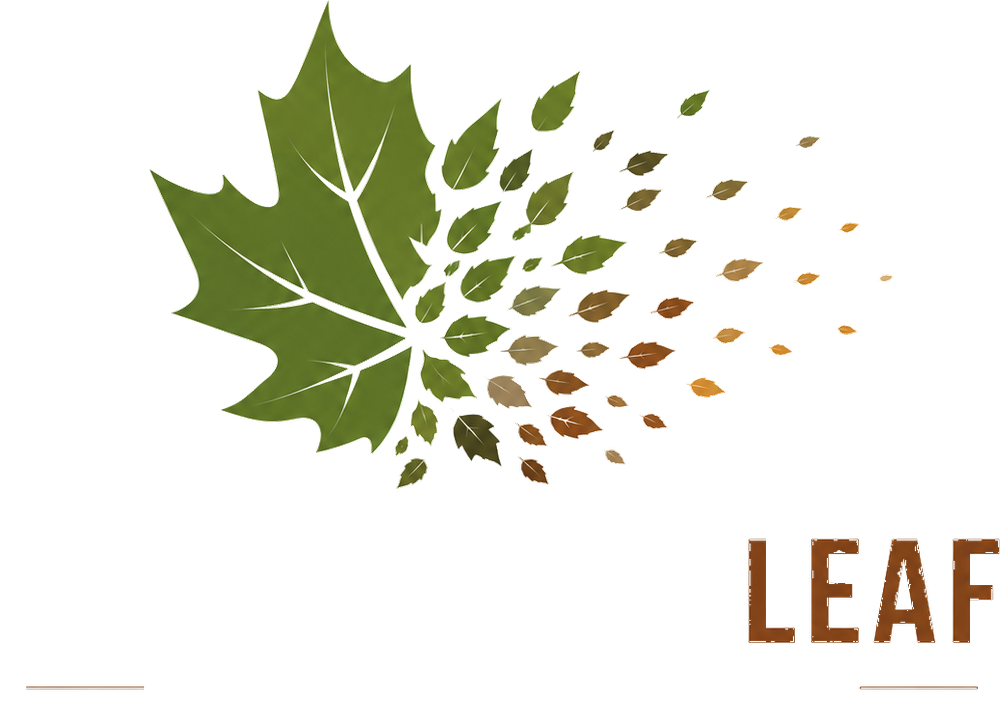 Once Upon A Leaf